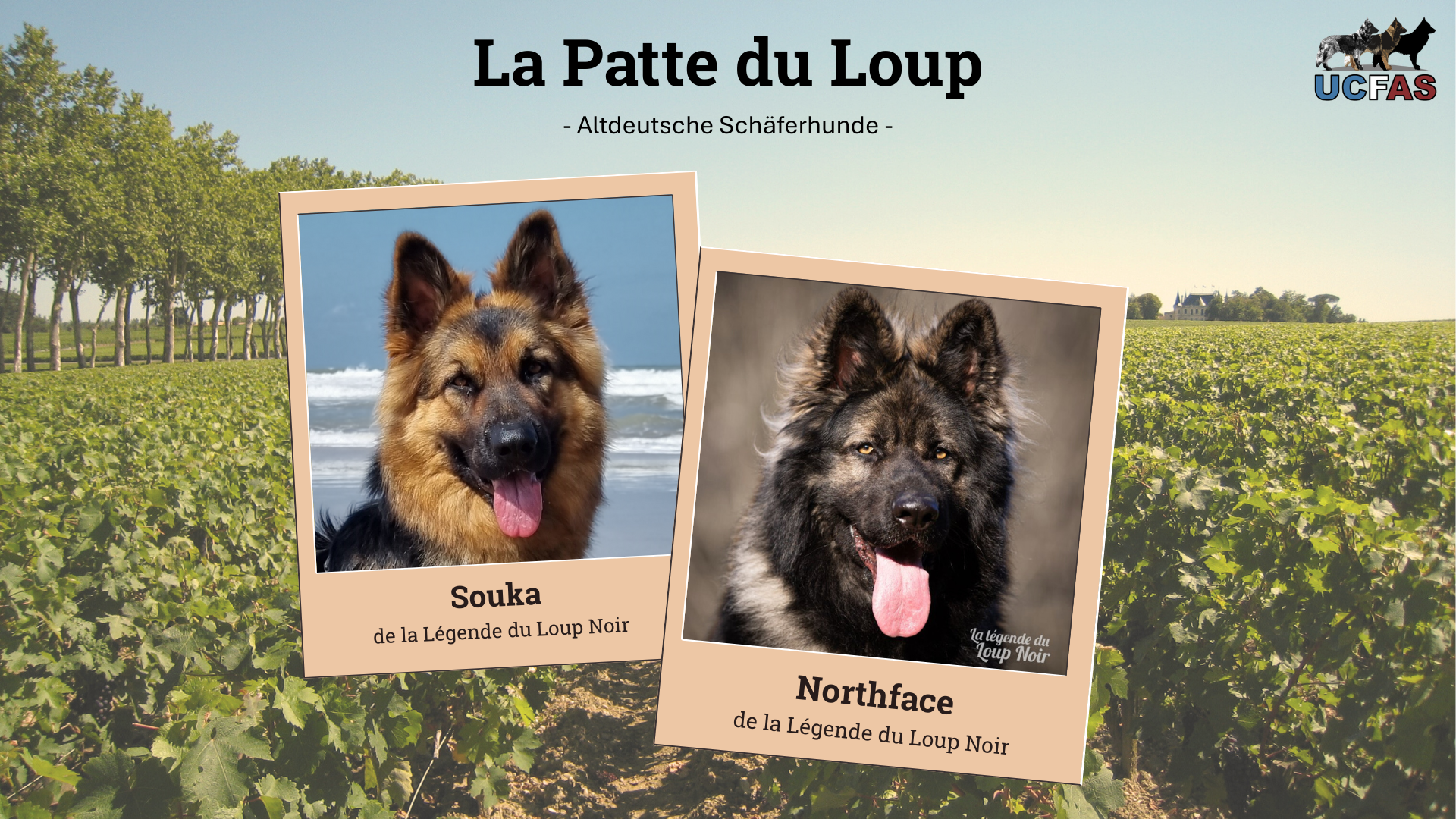 Mariage 2025 – Souka & Northface