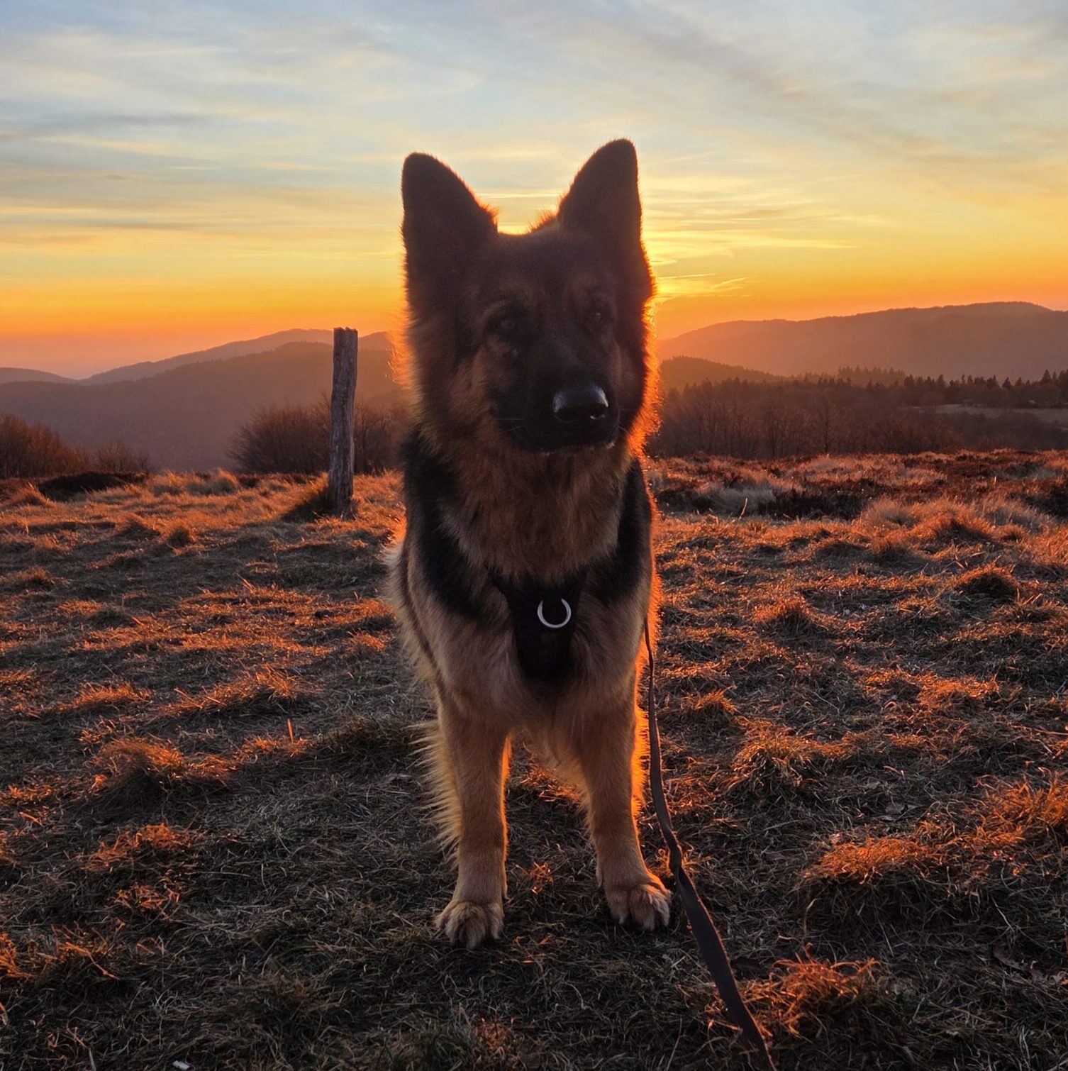 Saillie – Souka & Northface